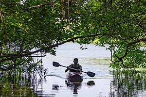 Canoeing and Kayaking in Bentota